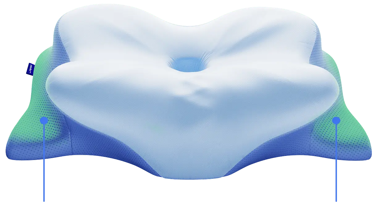 Derila Ergo Pillow product